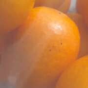 ヒメ日記 2026/02/27 23:22 投稿 田宮たまき【割引対象外】 elumo(エルモ)