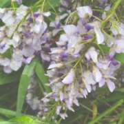 ヒメ日記 2026/04/10 20:14 投稿 田宮たまき【割引対象外】 elumo(エルモ)