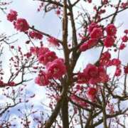 ヒメ日記 2026/03/23 11:06 投稿 のあ マネキン 名駅店