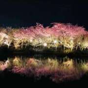 ヒメ日記 2026/04/11 09:58 投稿 のあ マネキン 名駅店