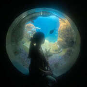 ヒメ日記 2026/02/18 18:57 投稿 ☆ことね☆ VIP Lounge