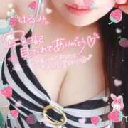 ヒメ日記 2025/08/08 08:45 投稿 井口はるみ 大阪ぽっちゃり妻