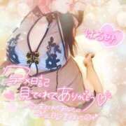 ヒメ日記 2025/12/11 22:30 投稿 井口はるみ 大阪ぽっちゃり妻