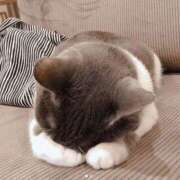 ヒメ日記 2026/03/12 09:45 投稿 井口はるみ 大阪ぽっちゃり妻