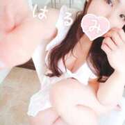 ヒメ日記 2026/04/14 09:15 投稿 井口はるみ 大阪ぽっちゃり妻