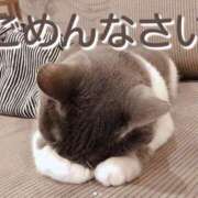 ヒメ日記 2026/07/23 09:49 投稿 井口はるみ 大阪ぽっちゃり妻
