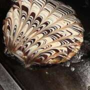 ヒメ日記 2026/03/04 20:34 投稿 れな 神田はっち