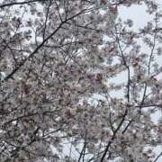 ヒメ日記 2026/04/01 19:19 投稿 れな 神田はっち