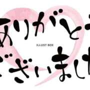 ヒメ日記 2026/02/01 09:15 投稿 ともえ長身スレンダー奥様 熟女パラダイス岐阜店（カサブランカグループ）