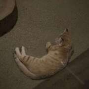 ヒメ日記 2026/05/02 20:04 投稿 りおな 一宮稲沢小牧ちゃんこ