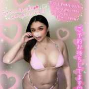 ヒメ日記 2026/04/08 00:36 投稿 ココ 所沢東村山ちゃんこ