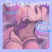 ヒメ日記 2026/01/04 11:30 投稿 ココ 西東京市小平ちゃんこ