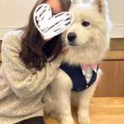 ヒメ日記 2026/03/16 20:03 投稿 藤咲　らな プルプル京都性感エステ　はんなり