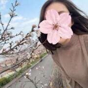 ヒメ日記 2026/04/03 08:13 投稿 藤咲　らな プルプル京都性感エステ　はんなり