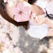 ヒメ日記 2026/04/14 08:25 投稿 藤咲　らな プルプル京都性感エステ　はんなり