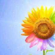 ヒメ日記 2026/02/04 12:29 投稿 なな 千葉中央人妻援護会