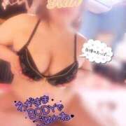 ヒメ日記 2026/01/03 16:25 投稿 らん ご近所物語