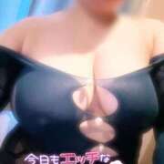 ヒメ日記 2026/01/17 09:02 投稿 らん ご近所物語