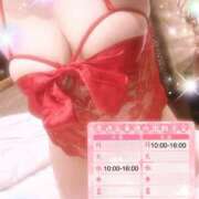 ヒメ日記 2026/01/19 06:00 投稿 らん ご近所物語