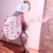 ヒメ日記 2026/01/24 08:50 投稿 らん ご近所物語