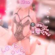 ヒメ日記 2026/04/02 12:28 投稿 らん ご近所物語