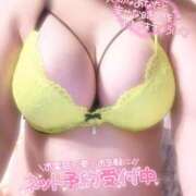 ヒメ日記 2026/06/25 07:33 投稿 らん ご近所物語