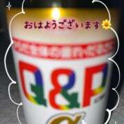 ヒメ日記 2026/01/28 06:53 投稿 のぞみ ご近所物語