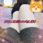 ヒメ日記 2026/02/04 11:53 投稿 のぞみ ご近所物語