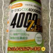 ヒメ日記 2026/03/21 08:00 投稿 のぞみ ご近所物語