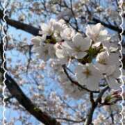 ヒメ日記 2026/03/27 13:46 投稿 のぞみ ご近所物語