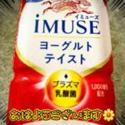ヒメ日記 2026/04/16 09:02 投稿 のぞみ ご近所物語