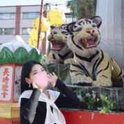 ヒメ日記 2026/02/23 13:31 投稿 せりな ご近所物語