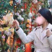 ヒメ日記 2026/03/07 09:46 投稿 せりな ご近所物語