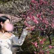 せりな 先程はありがとうございました♪ ご近所物語