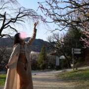 ヒメ日記 2026/03/11 16:46 投稿 せりな ご近所物語