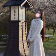 ヒメ日記 2026/03/11 23:32 投稿 せりな ご近所物語