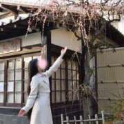 ヒメ日記 2026/03/22 01:04 投稿 せりな ご近所物語