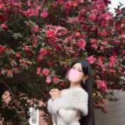 ヒメ日記 2026/03/22 15:50 投稿 せりな ご近所物語