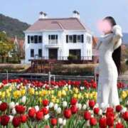 ヒメ日記 2026/03/23 17:24 投稿 せりな ご近所物語