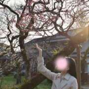 ヒメ日記 2026/03/24 11:18 投稿 せりな ご近所物語