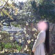 ヒメ日記 2026/03/28 21:49 投稿 せりな ご近所物語