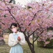 ヒメ日記 2026/03/31 11:45 投稿 せりな ご近所物語