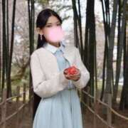 ヒメ日記 2026/04/02 14:51 投稿 せりな ご近所物語