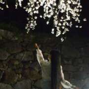 ヒメ日記 2026/04/03 18:54 投稿 せりな ご近所物語