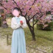 ヒメ日記 2026/04/04 09:01 投稿 せりな ご近所物語