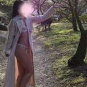 ヒメ日記 2026/04/05 11:18 投稿 せりな ご近所物語