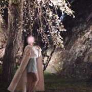 ヒメ日記 2026/04/08 20:51 投稿 せりな ご近所物語