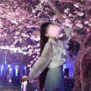 ヒメ日記 2026/04/09 01:00 投稿 せりな ご近所物語