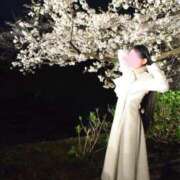 ヒメ日記 2026/04/09 02:35 投稿 せりな ご近所物語