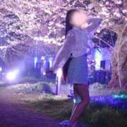 ヒメ日記 2026/04/09 23:16 投稿 せりな ご近所物語